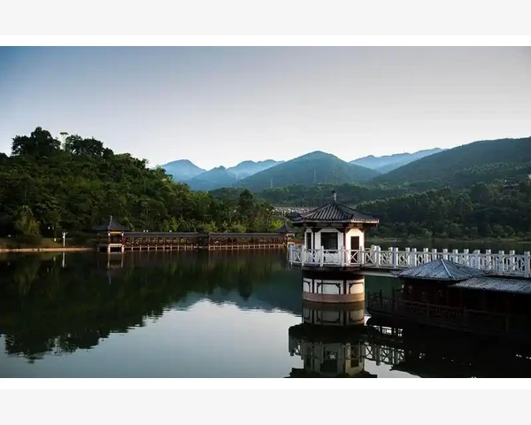 脾胃不好?营养吸收差?试试益生菌调理脾胃